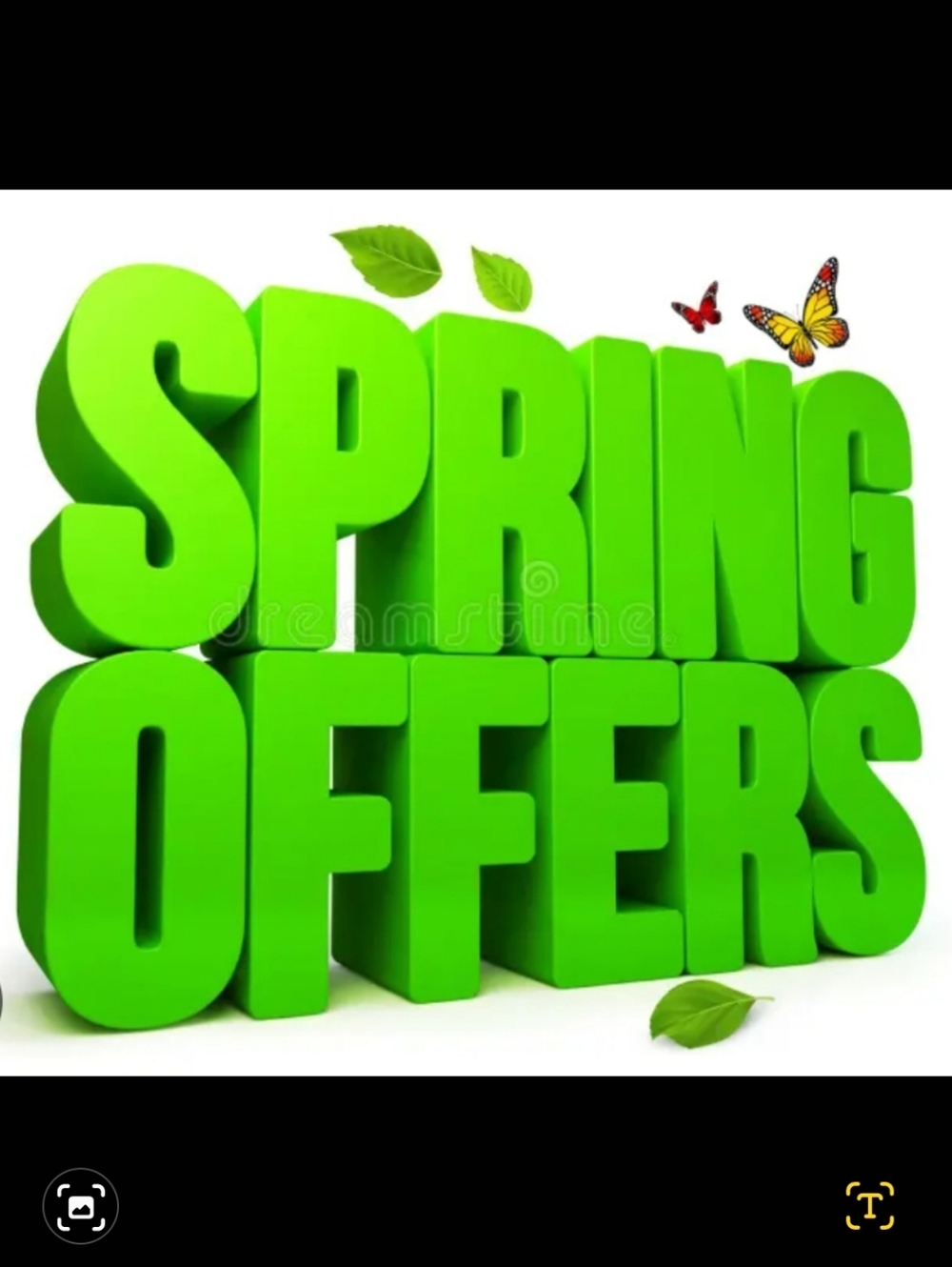 ⚘️WELCOME TO ALL BEAUTIFUL SPRING OFFERS🪻 !
